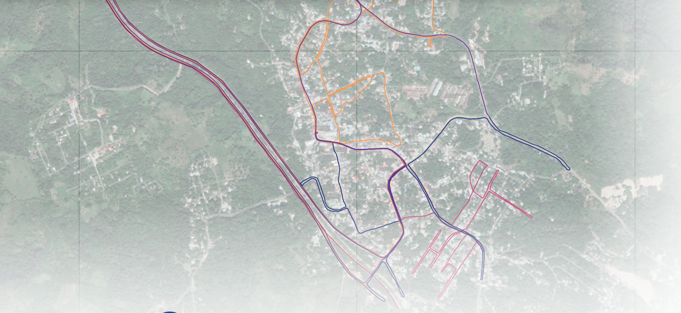 Consultoría del desarrollo de mapas georreferenciados